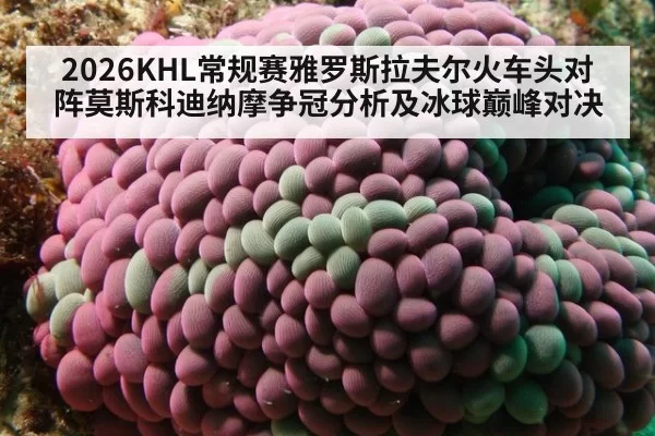 2026KHL常规赛雅罗斯拉夫尔火车头对阵莫斯科迪纳摩争冠分析及冰球巅峰对决